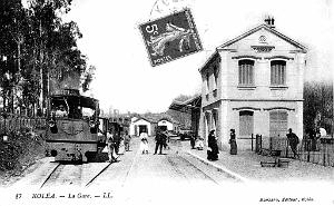 Kolea 